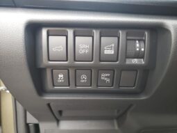 
 Subaru Forester full									