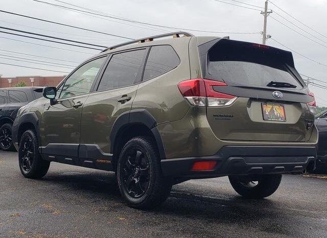 
 Subaru Forester full									