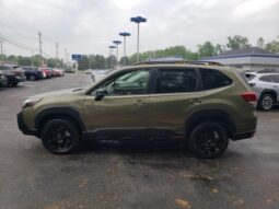 
 Subaru Forester full									