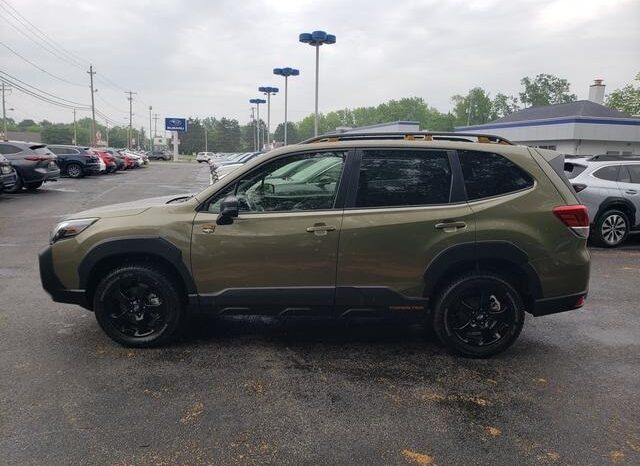 
 Subaru Forester full									