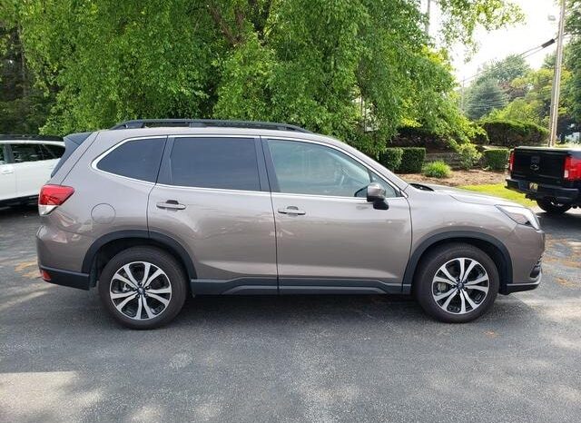 
 Subaru Forester full									