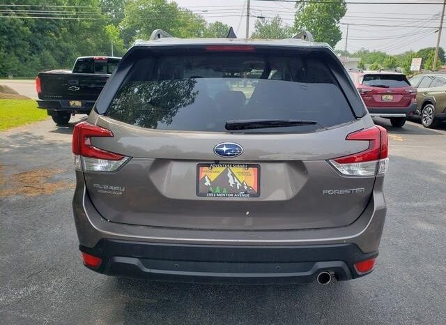 
 Subaru Forester full									
