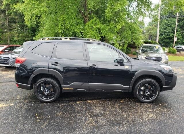 
 Subaru Forester full									