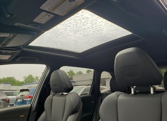 
 Subaru Forester full									