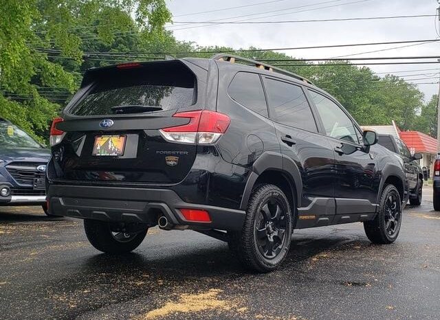 
 Subaru Forester full									