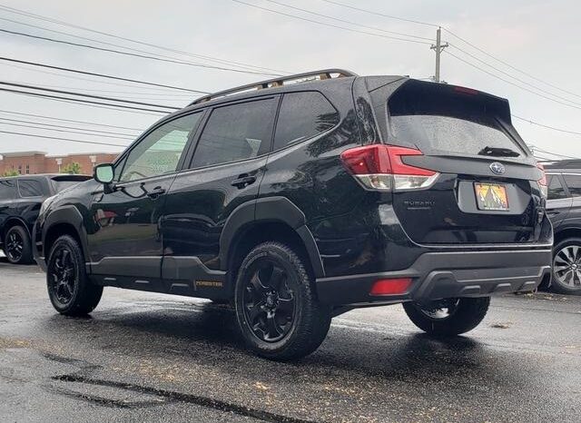 
 Subaru Forester full									
