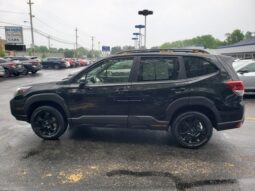 
 Subaru Forester full									