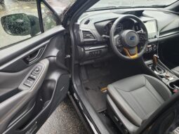
 Subaru Forester full									