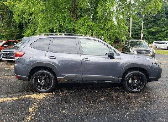 
 Subaru Forester full									