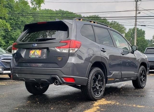 
 Subaru Forester full									