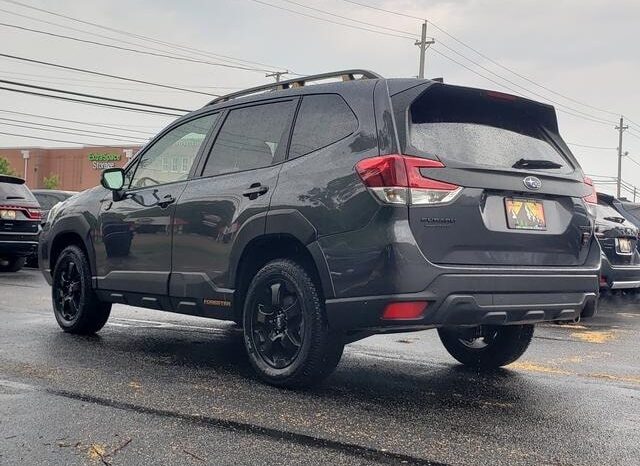 
 Subaru Forester full									