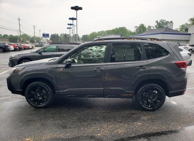
 Subaru Forester full									