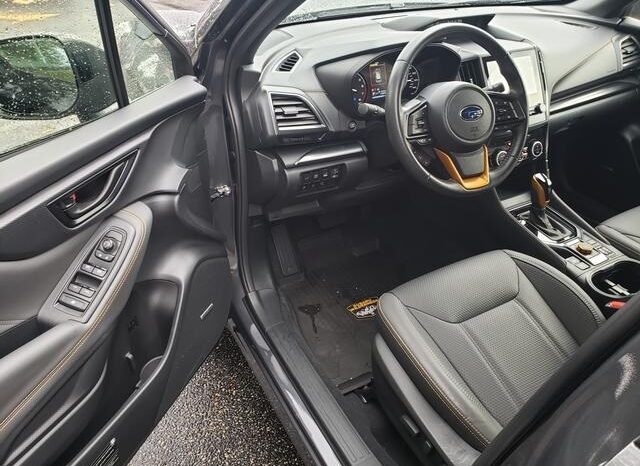 
 Subaru Forester full									