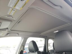 
 Subaru Forester full									