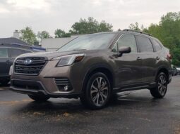 
 Subaru Forester full									
