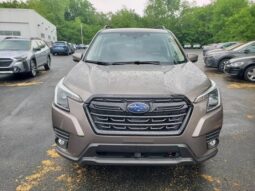 
 Subaru Forester full									