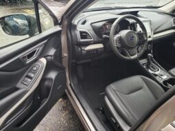 
 Subaru Forester full									