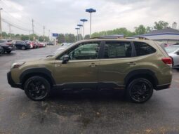 
 Subaru Forester full									