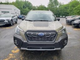 
 Subaru Forester full									
