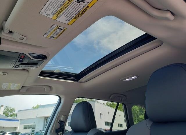 
 Subaru Outback full									
