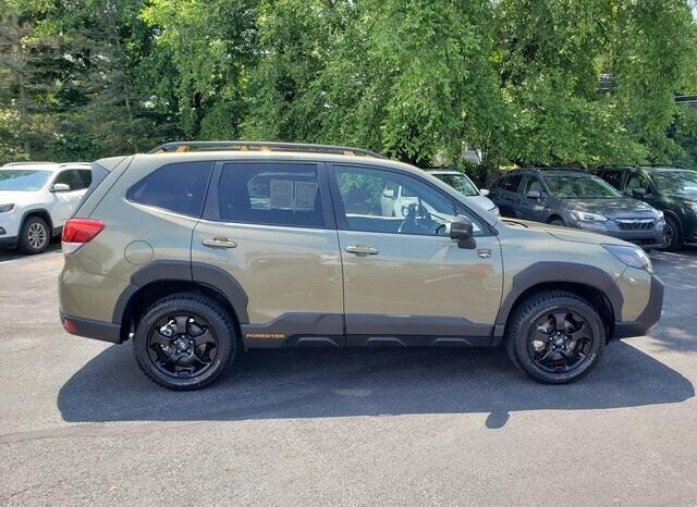 
 Subaru Forester full									