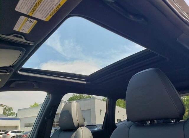 
 Subaru Forester full									