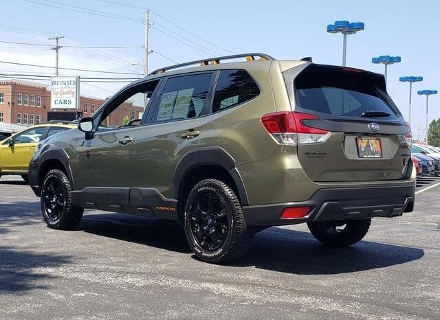 
 Subaru Forester full									