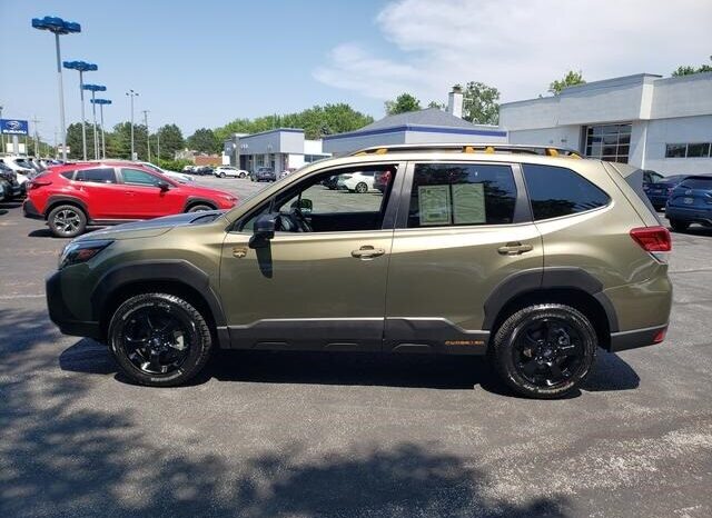 
 Subaru Forester full									
