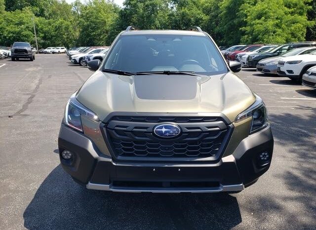 
 Subaru Forester full									