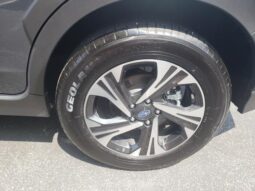 
 Subaru Crosstrek full									
