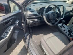 
 Subaru Crosstrek full									