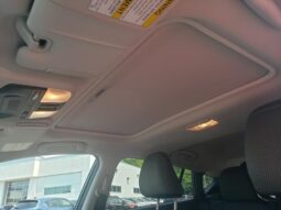 
 Subaru Crosstrek full									