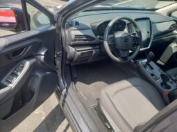
 Subaru Crosstrek full									