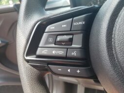 
 Subaru Crosstrek full									