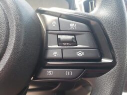 
 Subaru Crosstrek full									