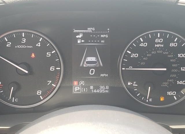 
 Subaru Crosstrek full									