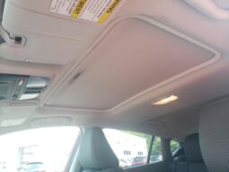
 Subaru Crosstrek full									