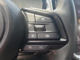
 Subaru Crosstrek full									