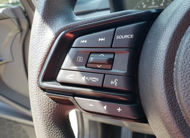 
 Subaru Crosstrek full									