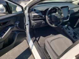 
 Subaru Crosstrek full									