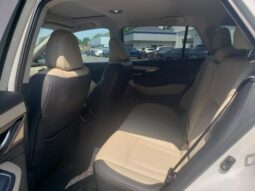 
 Subaru Outback full									
