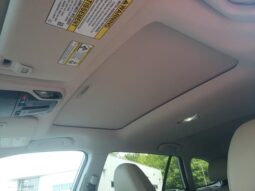 
 Subaru Outback full									