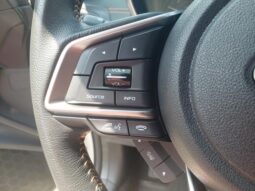 
 Subaru Crosstrek full									