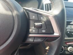 
 Subaru Crosstrek full									