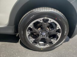 
 Subaru Crosstrek full									