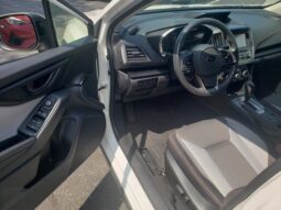 
 Subaru Crosstrek full									