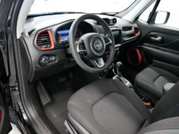 
 Jeep Renegade full									