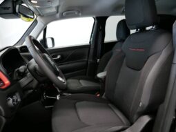 
 Jeep Renegade full									