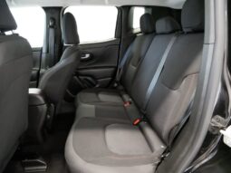 
 Jeep Renegade full									