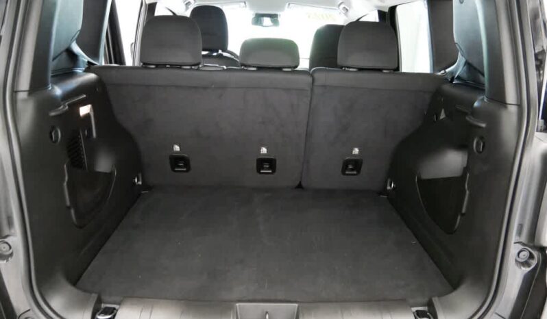 
 Jeep Renegade full									